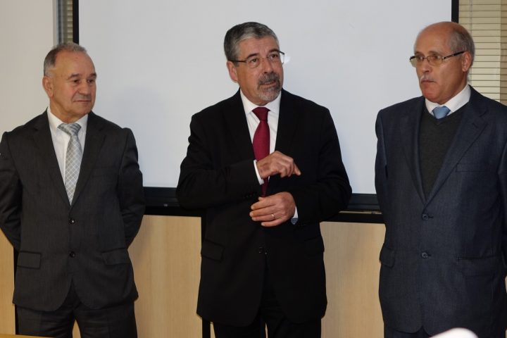 sede antral 84 Custom